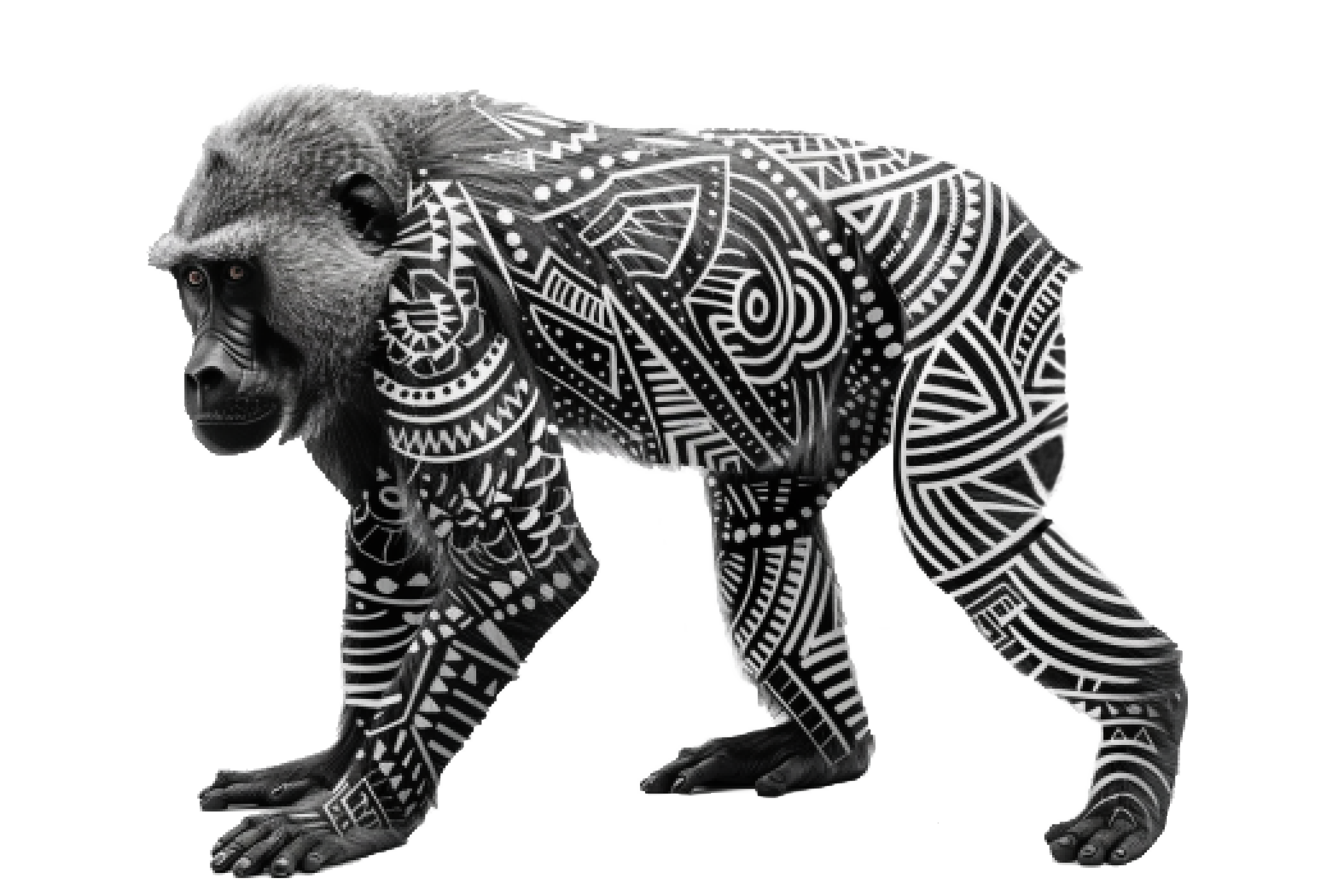 Introducing the Akwanza Baboon Doodle Collection: Fashion Meets Conservation