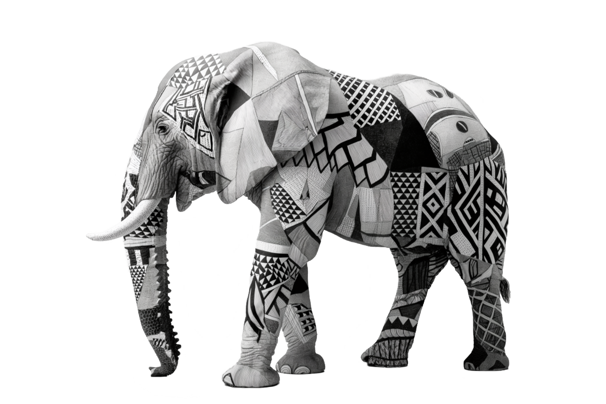 Introducing the Akwanza Elephant Doodle Collection: Fashion Meets Conservation