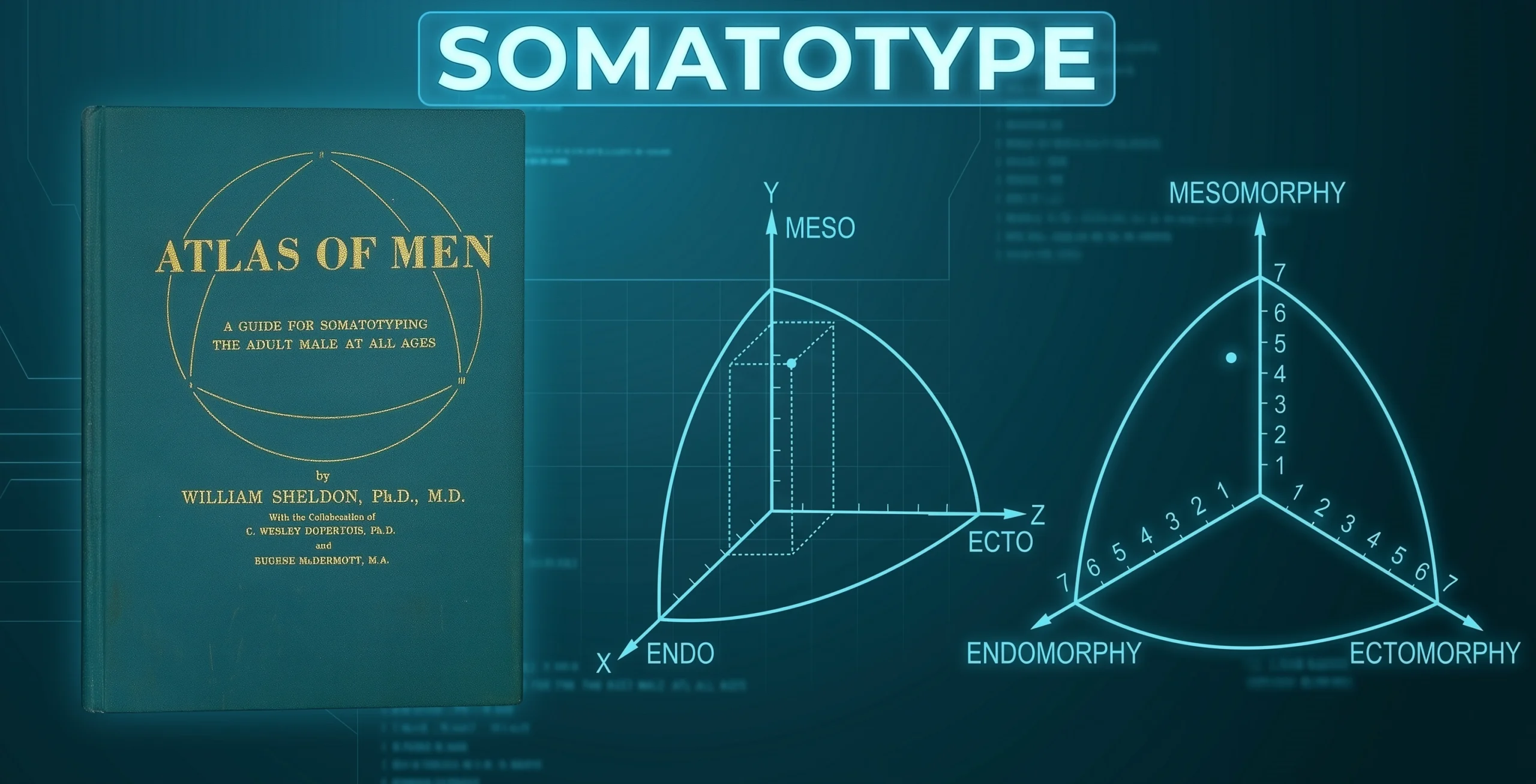 Cover of William Sheldon's 1954 book Atlas of Men: A Guide for Somatotyping the Adult Male at All Ages, alongside a 3D Cartesian diagram and a 2D somatochart showing the three somatotype components — endomorphy, mesomorphy, and ectomorphy.