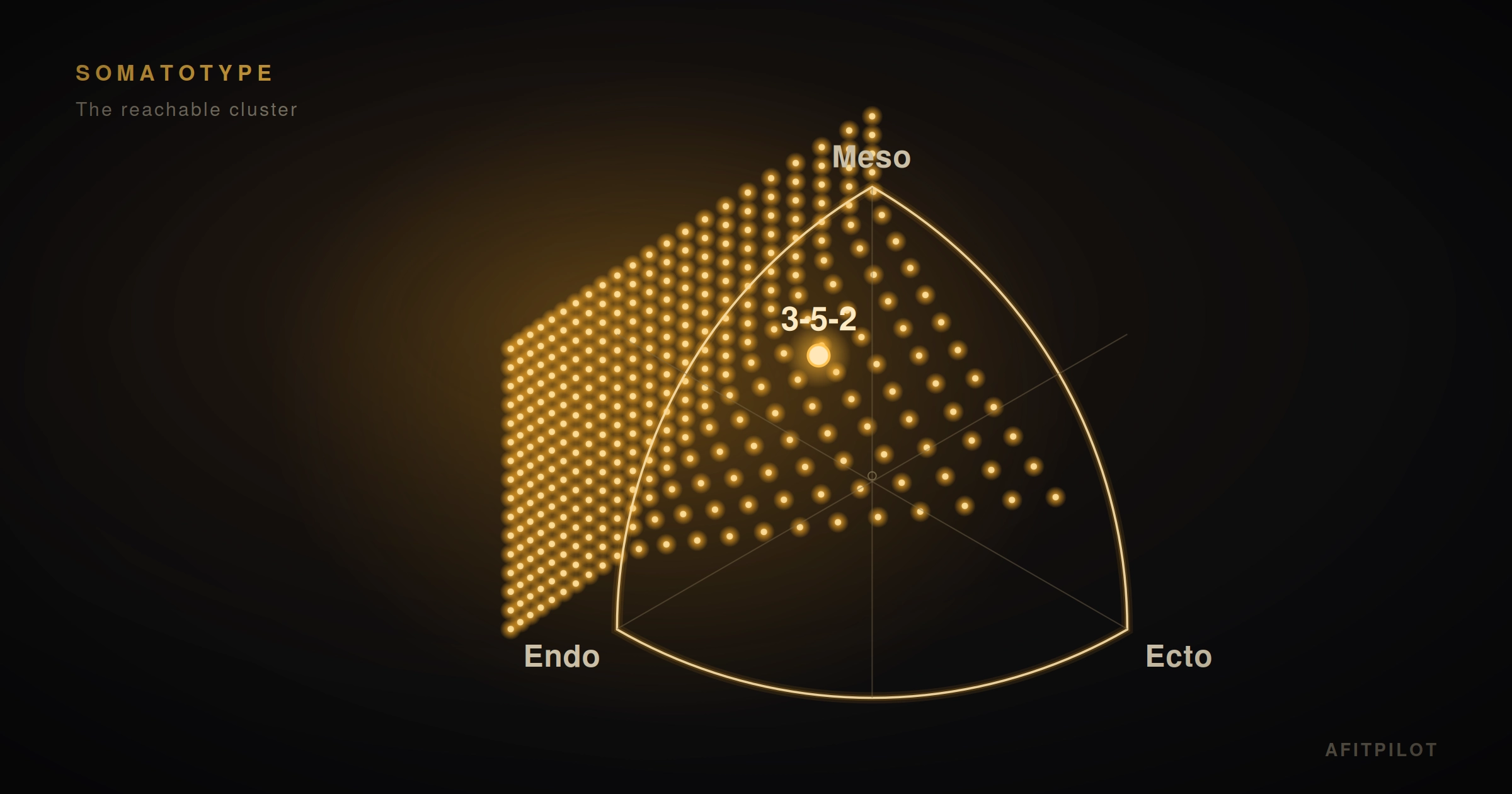 Heath-Carter somatochart on a dark background, the reachable somatotype cluster shown as a glowing amber cloud with a 3-5-2 point.